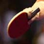 Clearance: Custom Blades with Rubber (Penhold)
