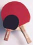 Tibhar Mini Paddle with rubber