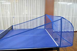 Paddle Palace Ball Collection Net