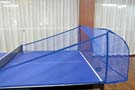 Paddle Palace Ball Collection Net