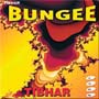 Bungee