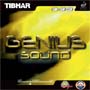 Genius Sound