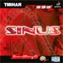 Sinus