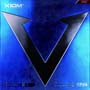 Vega China