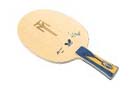 Timo Boll ZLF