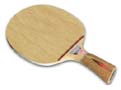 Waldner Dotec AR
