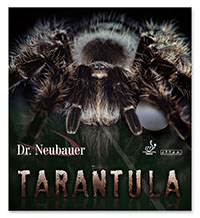 Dr. Neubauer Tarantula