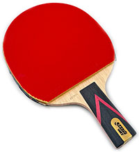 DHS TG7-P PENHOLD w/ Donic Desto F3 (#196)