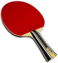 Butterfly Fan Zhendong Super ZLC FL w/Butterfly Dignics 80 (#29)