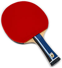 Butterfly Harimoto Innerforce ALC FL w/ Butterfly Dignics 05 & Tenergy 19 (#136)