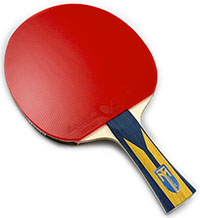 Butterfly Timo Boll ZLF FL w/ Butterfly Dignics 05 (#106)