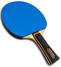 Donic Original True Carbon FL w/ Donic Bluestorm Z3 & Z2 (#27)