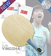 Sun Yingsha [CHN] Champion Pro Special - DHS